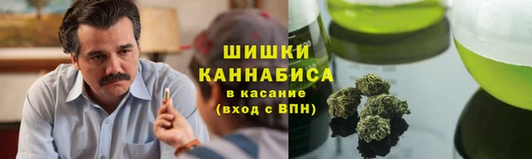 ГАЛЛЮЦИНОГЕННЫЕ ГРИБЫ Алзамай