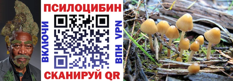 Галлюциногенные грибы MAGIC MUSHROOMS  Курган 
